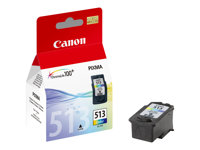 Canon CL-513 - 13 ml - couleur (cyan, magenta, jaune) - original - cartouche d'encre - pour PIXMA iP2700, MP230, MP237, MP252, MP272, MP280, MP282, MP495, MP499, MX360, MX410, MX420 2971B001