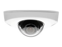 AXIS P3915-R Network Camera - Caméra de surveillance réseau - panoramique / inclinaison - anti-poussière / étanche - couleur - 1920 x 1080 - iris fixe - audio - LAN 10/100 - MPEG-4, MJPEG, H.264 0643-001