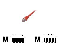 MCL - Câble réseau - RJ-45 (M) pour RJ-45 (M) - 5 m - blindé - CAT 5e - orange FCC5EBM-5M/O