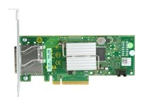 Dell HBA External Controller - Contrôleur de stockage - SAS 12Gb/s - profil bas - pour PowerVault MD1420; PowerEdge C6420, R230, R330, R430, R540, R640, R740, R830 405-AAES