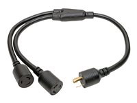 Tripp Lite 1ft Power Cord Y Splitter Cable L6-20P to 2xL6-20R for PDU/UPS 20A 10AWG 1' - Répartiteur d'alimentation - NEMA L6-20 (M) pour NEMA L6-20 (F) - CA 250 V - 30 cm - moulé - noir - pour P/N: P011-006, PDUMNH20HVAT, SU3000LCD2UHV, SU8000RT3U, SU8000RT3UN50, SU8000RT3UN50TF P039-001-2