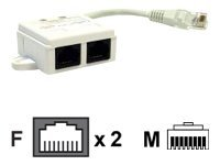 Belkin - Répartiteur de réseau - RJ-45 (M) pour RJ-45 (F) - STP - CAT 5 R6G059B