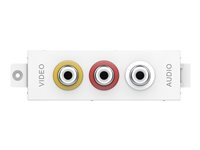 VISION TechConnect 3 3-Phono module - Plaque modulaire enclenchable - RCA X 3 TC3 3PHO