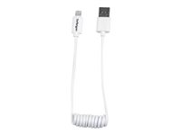 StarTech.com Câble Apple Lightning vers USB spiralé de 30 cm - Cordon Lightning 8 broches vers USB extensible - M/M - Blanc (USBCLT30CMW) - Câble Lightning - USB (M) pour Lightning (M) - 30 cm - double blindage - blanc - pour Apple iPad/iPhone/iPod (Lightning) USBCLT30CMW