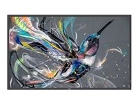 Philips 65BDL3550Q - Classe de diagonale 65" (64.5" visualisable) - Q-Line écran LCD rétro-éclairé par LED - signalisation numérique - Android - 4K UHD (2160p) 3840 x 2160 - LED à éclairage direct 65BDL3550Q/00