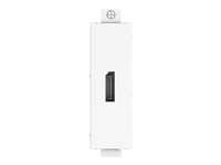VISION TechConnect 3 DisplayPort Module - Plaque modulaire enclenchable - 25 cm - DisplayPort TC3 DP