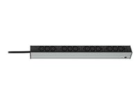 Knürr DI-STRIP - Unité de distribution secteur (rack-montable) - CA 120/230 V - entrée : IEC 60320 - connecteurs de sortie : 12 (12 x IEC 60320 C13) - 0U - 2.5 m - RAL 7035, RAL 7021 036004121